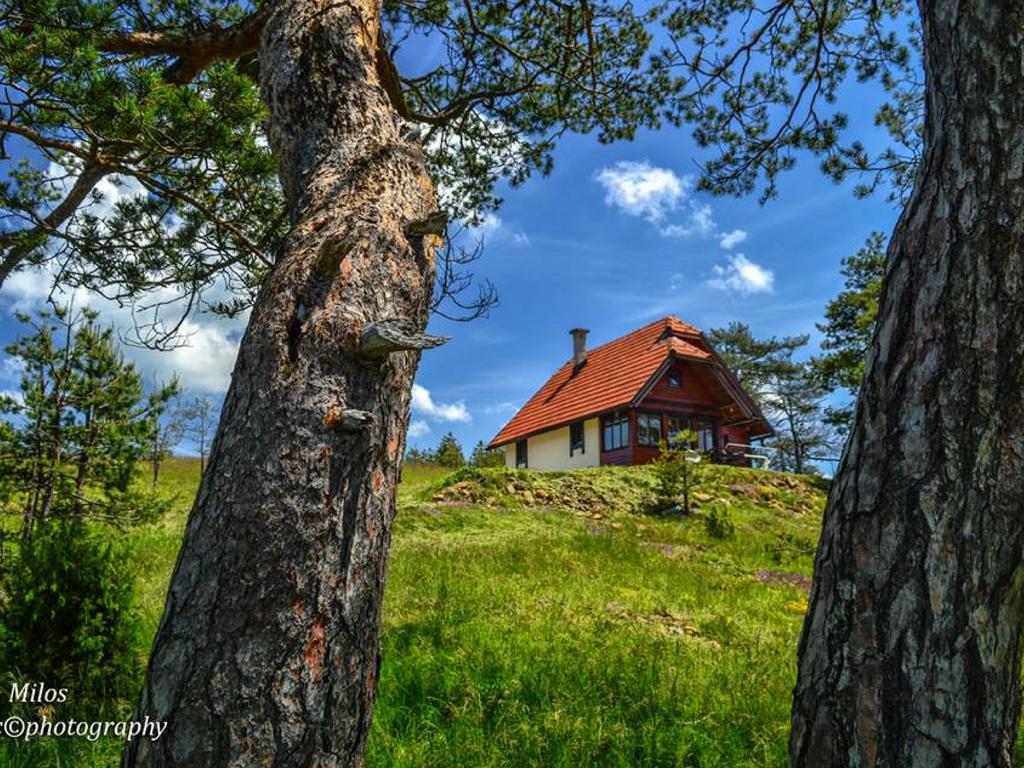 Cottage Vodice Zlatibor Bagian luar foto