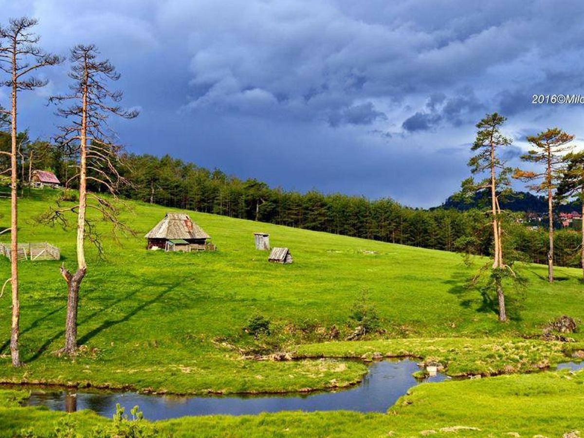Cottage Vodice Zlatibor Bagian luar foto